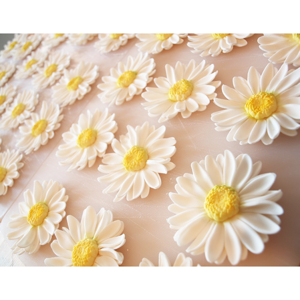 Fine hvide margueritter. Hndlavede sukkerblomster