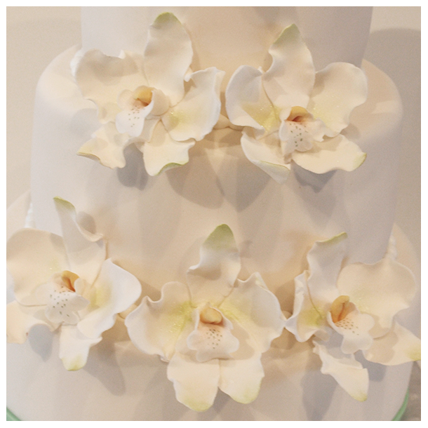Orchider, hndlavede sukkerblomster