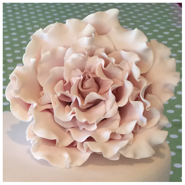 Stor sart rosa rose med tre store grnne blade. Hndlavet sukkerblomst og blade