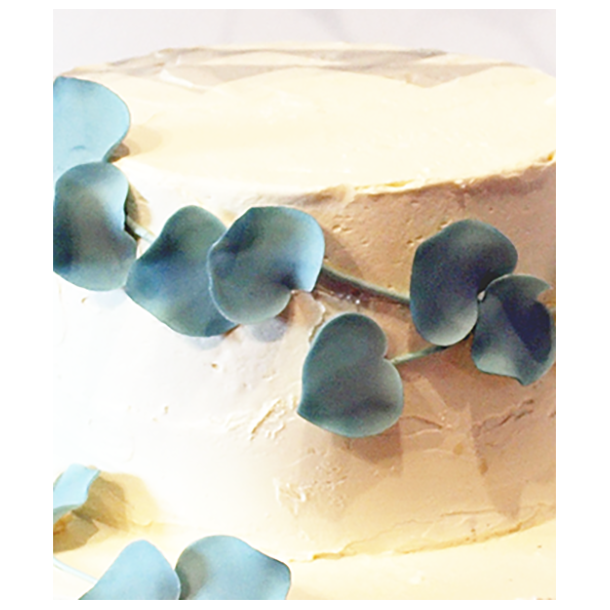 Eucalyptus blade, hndlavede 10 stk